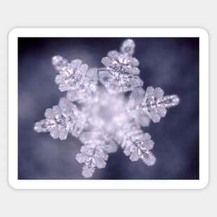 Snow flake Sticker